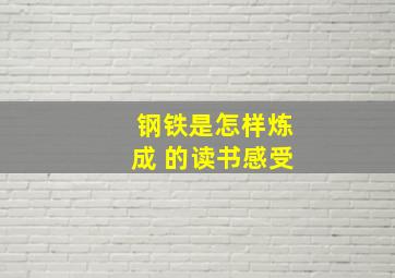 钢铁是怎样炼成 的读书感受